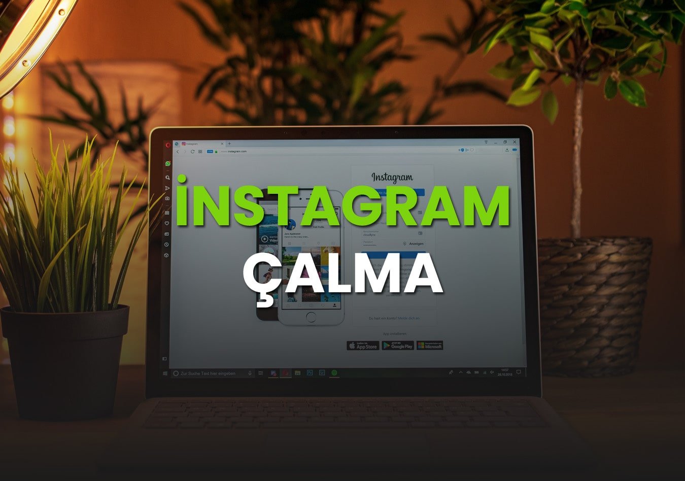  nstagram alma Cucupedi