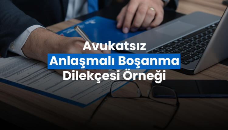 avukatsız anlaşmalı boşanma dilekçesi örneği